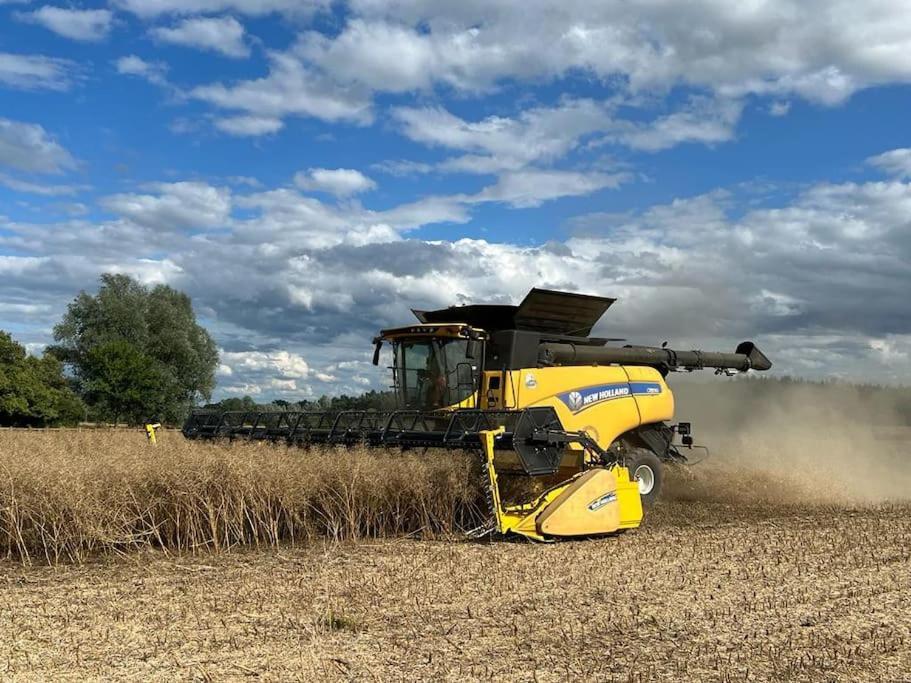 Cottage Barn Conversion On Working Farm ウスター エクステリア 写真