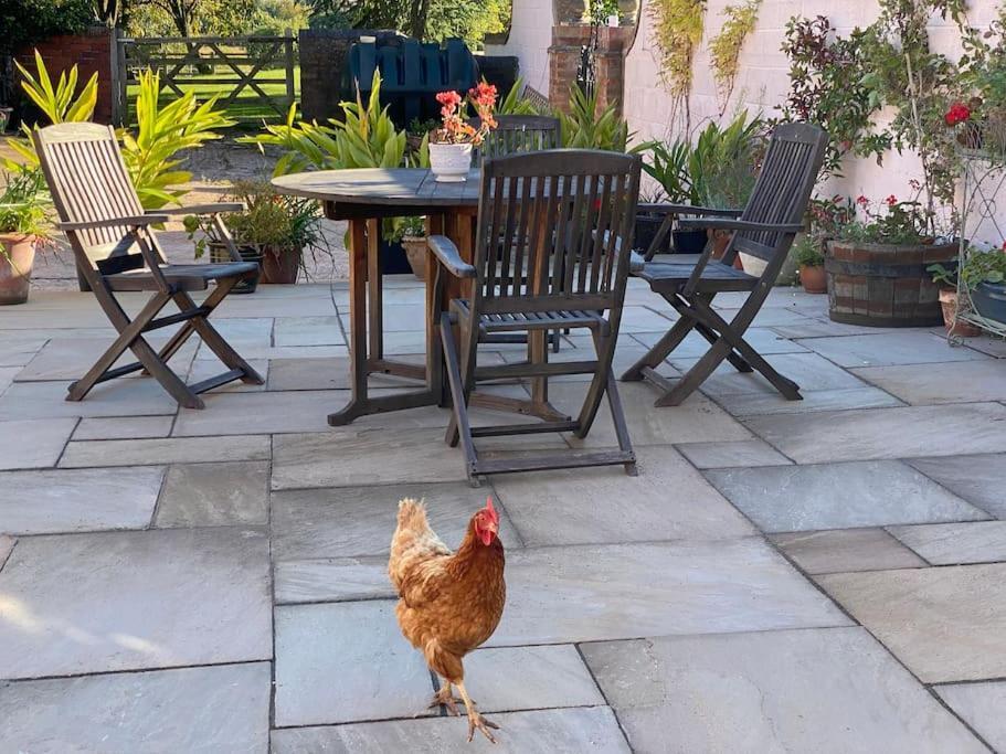 Cottage Barn Conversion On Working Farm ウスター エクステリア 写真