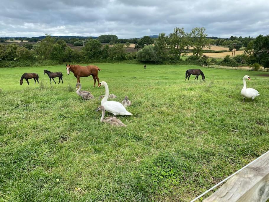 Cottage Barn Conversion On Working Farm ウスター エクステリア 写真