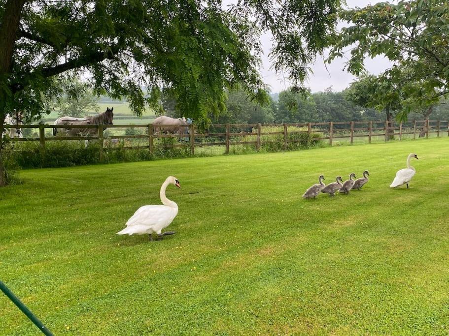Cottage Barn Conversion On Working Farm ウスター エクステリア 写真